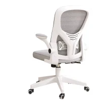 main-image-5